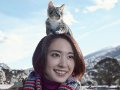新垣結衣 壁紙 新垣結衣 壁紙