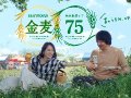 戸田恵梨香 壁紙 戸田恵梨香 壁紙