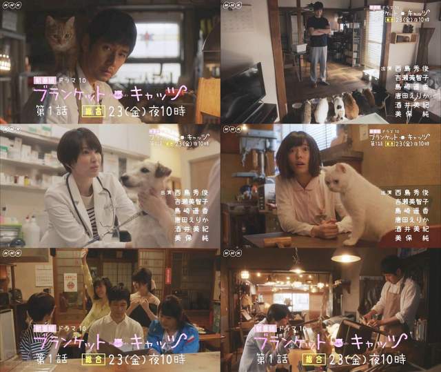 ドラマ ブランケット・キャッツ 第1話(6/23)予告編CM 身代わりの