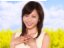 釈由美子 壁紙 釈由美子 壁紙