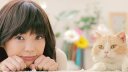 倉科カナ 壁紙 倉科カナ 壁紙