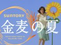 檀れい 壁紙 檀れい 壁紙