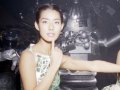 すみれ 壁紙 すみれ 壁紙