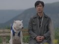 堺雅人 壁紙 堺雅人 壁紙