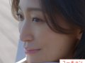 杏 壁紙 杏 壁紙