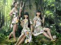 Perfume ɻ