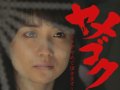 大島優子 壁紙 大島優子 壁紙