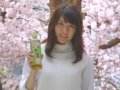 有村架純 壁紙 有村架純 壁紙
