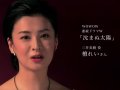 檀れい 壁紙 檀れい 壁紙
