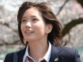 本田翼 壁紙 本田翼 壁紙