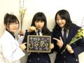桜井日奈子 壁紙 桜井日奈子 壁紙