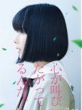 芳根京子 壁紙 芳根京子 壁紙