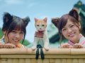 乃木坂46 壁紙 乃木坂46 壁紙