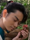 菅田将暉 壁紙 菅田将暉 壁紙