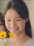 宮崎あおい 壁紙 宮崎あおい 壁紙
