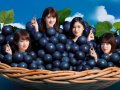 乃木坂46 壁紙 乃木坂46 壁紙