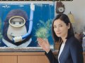 吉田羊 壁紙 吉田羊 壁紙