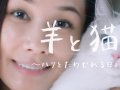 吉田羊 壁紙 吉田羊 壁紙