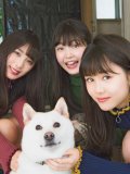 乃木坂46 壁紙 乃木坂46 壁紙