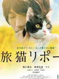 福士蒼汰 壁紙 福士蒼汰 壁紙