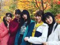 乃木坂46 壁紙 乃木坂46 壁紙