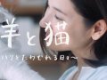 吉田羊 壁紙 吉田羊 壁紙