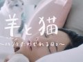 吉田羊 壁紙 吉田羊 壁紙