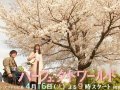 松坂桃李 壁紙 松坂桃李 壁紙