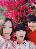 Perfume 壁紙 Perfume 壁紙