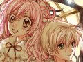 マーガレット 壁紙 マーガレット 壁紙