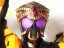 仮面ライダーフォーゼ 壁紙 仮面ライダーフォーゼ 壁紙