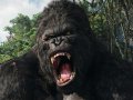 キングコング 壁紙 キングコング 壁紙