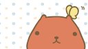 カピバラさん 壁紙 カピバラさん 壁紙