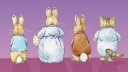 ピーターラビット 壁紙 ピーターラビット 壁紙
