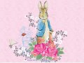 ピーターラビット 壁紙 ピーターラビット 壁紙